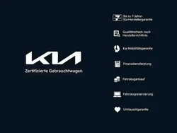Grau Gebraucht 2024 Kia Picanto Kleinwagen | 18.490 € (Superpreis)