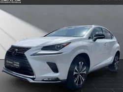Weiss Gebraucht 2021 Lexus NX300h SUV | 29.950 € (Fairer Preis)