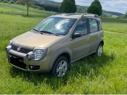 Andere außenfarben Gebraucht 2006 Fiat Panda 4x4 Cross Kleinwagen | 8.250 €