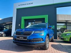 Blau Gebraucht 2021 Skoda Karoq Clever SUV | 24.700 € (Fairer Preis)
