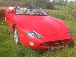 Rot Gebraucht 2005 Jaguar XK8 Cabrio | 12.850 €
