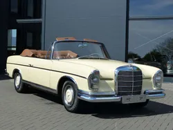 Elfenbein Gebraucht 1966 Mercedes 250 SE Cabrio | 96.500 €