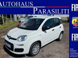 Gelato weiss Neu 2025 Fiat Panda Kleinwagen | 16.790 €