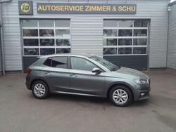 Grau Gebraucht 2024 Skoda Fabia Selection Kleinwagen | 22.900 € (Fairer Preis)
