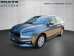 Graphite grau metallic Neu 2024 Skoda Fabia Selection Kleinwagen | 21.500 € (Guter Preis)
