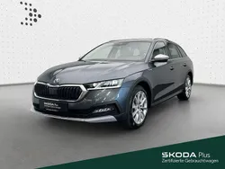 Grau Gebraucht 2021 Skoda Octavia Scout Kombi | 30.480 € (Fairer Preis)