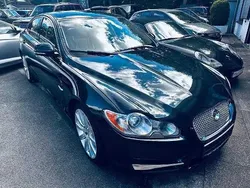 Grün Gebraucht 2010 Jaguar XF Limousine | 6.650 € (Superpreis)