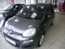 Grau Gebraucht 2021 Fiat Panda Kleinwagen | 8.990 € (Guter Preis)