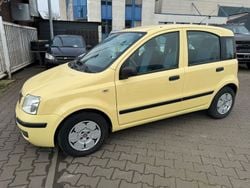 Gelb Gebraucht 2009 Fiat Panda Dynamic Kleinwagen | 2.499 € (Fairer Preis)