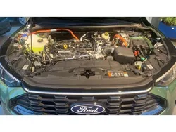 Bursting green Gebraucht 2025 Ford Kuga ST-Line X SUV | 42.990 € (Teuer)