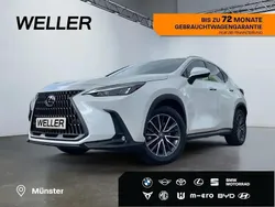 Weiss Gebraucht 2025 Lexus NX450h+ E-FOUR Executive Line SUV | 55.990 € (Guter Preis)