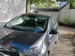 Schwarz Gebraucht 2025 Kia Picanto 2 Kleinwagen | 8.999 €