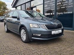 Grau Gebraucht 2019 Skoda Octavia Ambition Kombi | 8.990 € (Guter Preis)