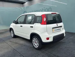Weiß Neu 2024 Fiat Panda Kleinwagen | 12.499 € (Guter Preis)
