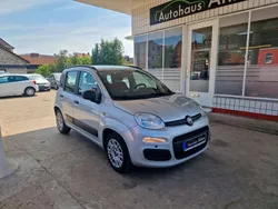 Grau Gebraucht 2014 Fiat Panda Kleinwagen | 5.899 € (Fairer Preis)