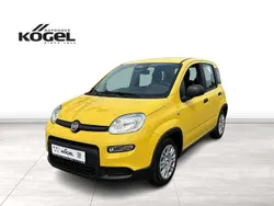 Gelb (gelb) Neu 2024 Fiat Panda Kleinwagen | 13.990 €