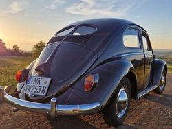 Schwarz Gebraucht 1953 VW Käfer Limousine | 23.900 €