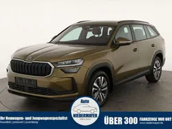 Bronx gold metallic Gebraucht 2024 Skoda Kodiaq Selection SUV | 41.995 € (Superpreis)