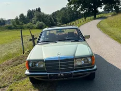Grün Gebraucht 1977 Mercedes 280 Coupé | 24.500 €