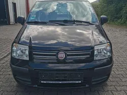 Schwarz Gebraucht 2011 Fiat Panda Kleinwagen | 3.999 € (Etwas zu teuer)