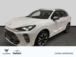 Eisweiß Gebraucht 2025 Cupra Terramar SUV | 36.900 €