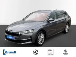 Grau Gebraucht 2025 Skoda Octavia Selection Kombi | 34.490 € (Superpreis)