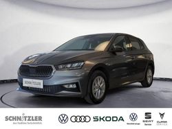 Grau Neu 2025 Skoda Fabia Selection Kleinwagen | 22.980 € (Fairer Preis)