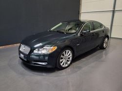 Botanical green Gebraucht 2010 Jaguar XF Premium Luxury Limousine | 13.950 € (Teuer)