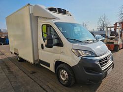 Weiß Gebraucht 2014 Fiat Ducato Van | 18.500 €