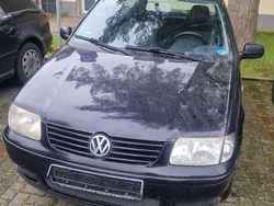 Schwarz Gebraucht 2001 VW Polo Edition Limousine | 500 € (Superpreis)