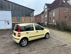 Gelb Gebraucht 2012 Fiat Panda Kleinwagen | 1.450 €