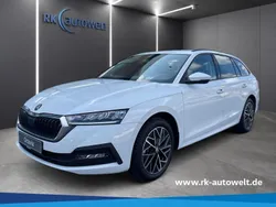 Weiss Gebraucht 2024 Skoda Octavia Ambition Kombi | 30.980 € (Fairer Preis)