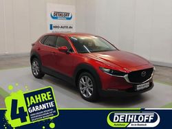 Rot Gebraucht 2022 Mazda CX-30 Selection SUV | 23.800 € (Etwas zu teuer)