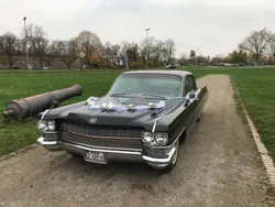 Gebraucht 1964 Cadillac Fleetwood Limousine | 19.500 €