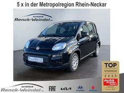 Schwarz Gebraucht 2024 Fiat Panda Kleinwagen | 14.989 € (Etwas zu teuer)