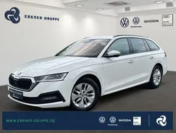 Weiß Gebraucht 2020 Skoda Octavia Ambition Kombi | 20.499 €