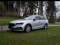 Silber Gebraucht 2020 Skoda Octavia First Edition Kombi | 18.500 € (Fairer Preis)
