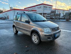 Beige Gebraucht 2008 Fiat Panda 4x4 Kleinwagen | 3.500 € (Fairer Preis)