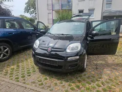 Schwarz Gebraucht 2014 Fiat Panda Kleinwagen | 6.000 €
