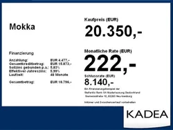 Jade weiss/arktis weiss Gebraucht 2022 Opel Mokka SUV | 20.350 € (Guter Preis)