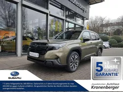 Autumn green (m) Neu 2025 Subaru Forester Platinum SUV | 46.550 € (Etwas zu teuer)