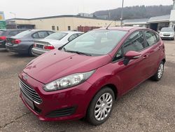 Violet Gebraucht 2013 Ford Fiesta Trend Kleinwagen | 3.390 € (Superpreis)
