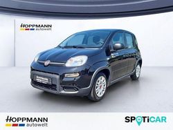 Schwarz Gebraucht 2024 Fiat Panda Kleinwagen | 11.990 € (Guter Preis)