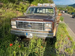 Braun Gebraucht 1986 Ford F350 SUV | 10.000 €