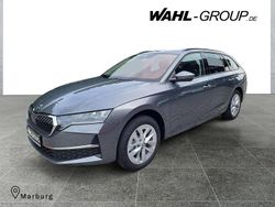 Grau Gebraucht 2025 Skoda Octavia Selection Kombi | 37.720 € (Etwas zu teuer)