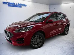 Lucid red metallic Gebraucht 2024 Ford Kuga ST-Line X SUV | 33.990 € (Guter Preis)