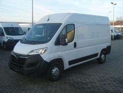 Weiß Gebraucht 2023 Opel Movano Edition Van / Kleinbus | 20.706 € (Fairer Preis)