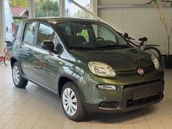 Grün Gebraucht 2013 Fiat Panda 4x4 Wild Kleinwagen | 4.600 € (Fairer Preis)