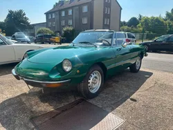 Grün Gebraucht 1980 Alfa Romeo Spider Cabrio | 18.500 €