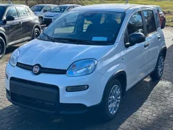 Weiß Neu 2025 Fiat Panda Cross Cross Kleinwagen | 15.850 €